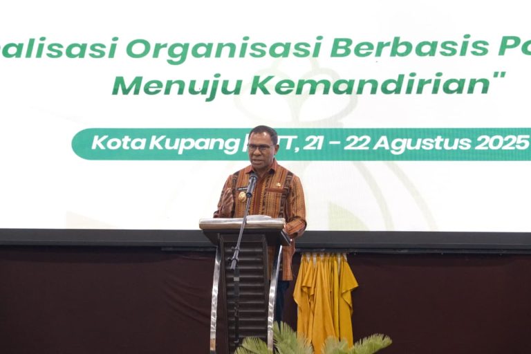 WhatsApp Image 2025-08-22 at 07.12.51