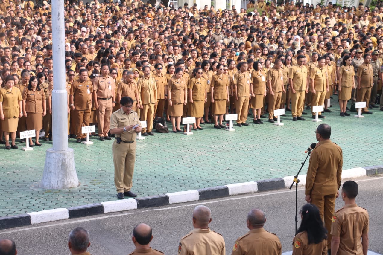 WhatsApp Image 2026-01-26 at 11.14.05