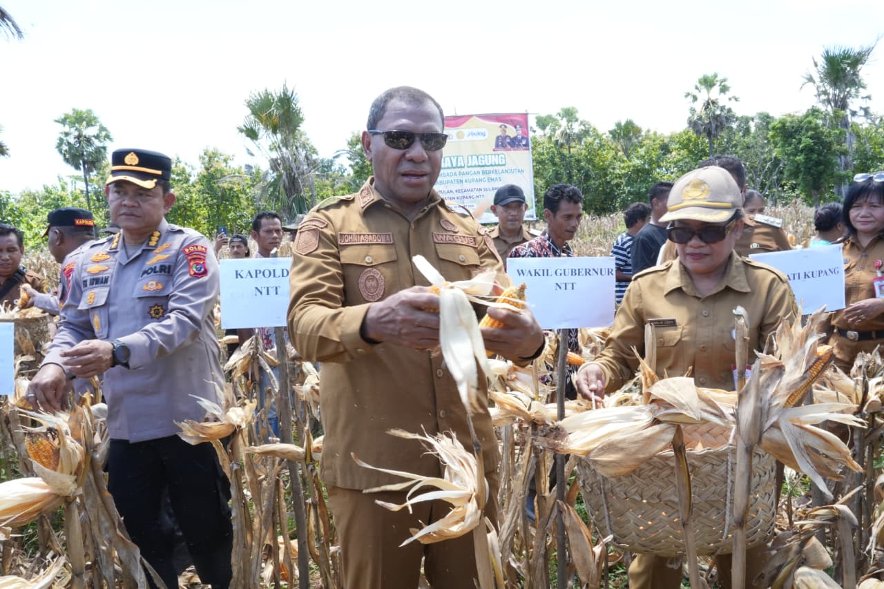 WhatsApp Image 2026-03-30 at 17.57.07